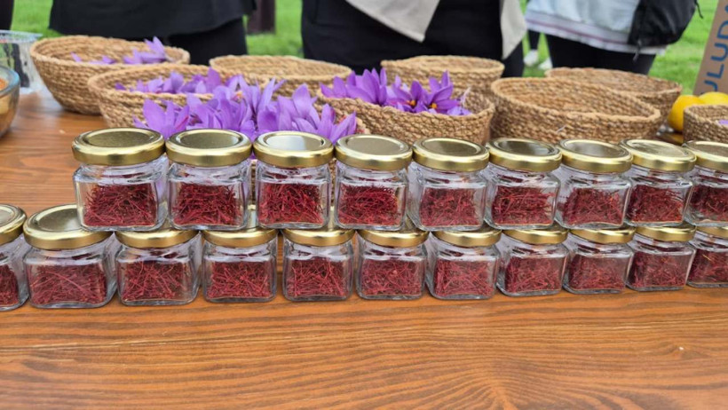 Kilosu altınla yarışıyor! Üretici mahsul değil servet topluyor