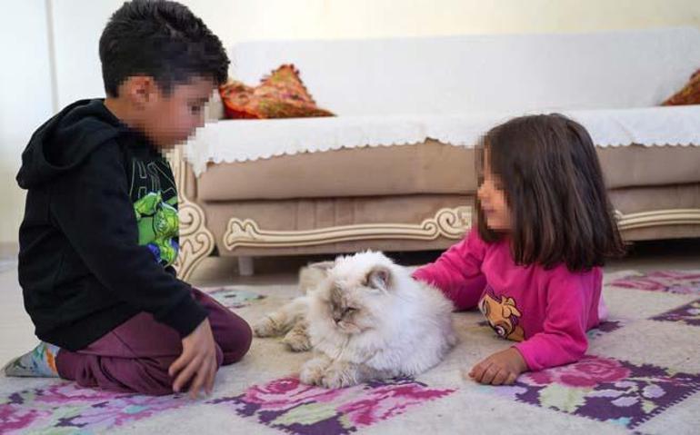 Kimsesiz kalan 3 torununa hayatını adadı! Evden tahliye kararı verilen dedeye yardım eli uzandı