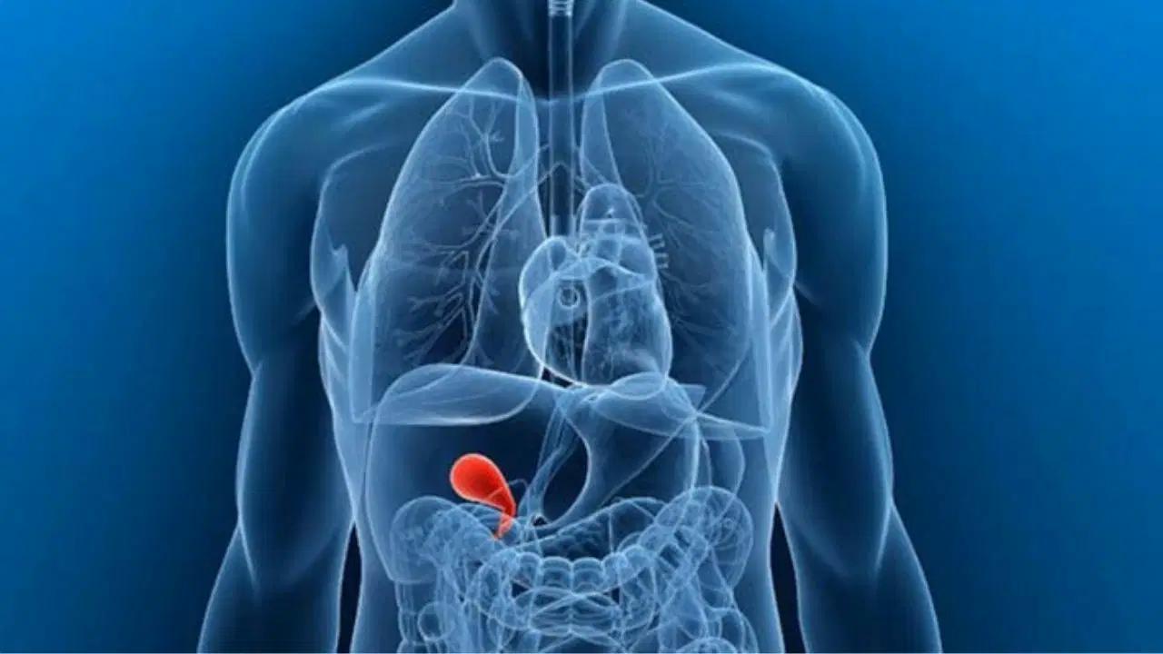 Kışın safra kesesi meseleleri ile ilgili ihtar: ‘Geçmeyen karın ağrısına dikkat’