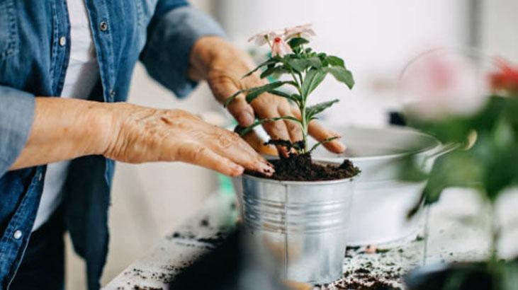 Kötü enerjiyi mıknatıs gibi çeken 4 bitki! Evine bu güçlü koruyucuları hemen al 5 Kötü enerjiyi mıknatıs gibi çeken 4 bitki! Evine bu güçlü koruyucuları hemen al