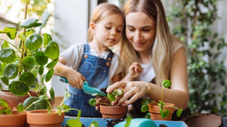 Kötü enerjiyi mıknatıs gibi çeken 4 bitki! Evine bu güçlü koruyucuları hemen al 6 Kötü enerjiyi mıknatıs gibi çeken 4 bitki! Evine bu güçlü koruyucuları hemen al