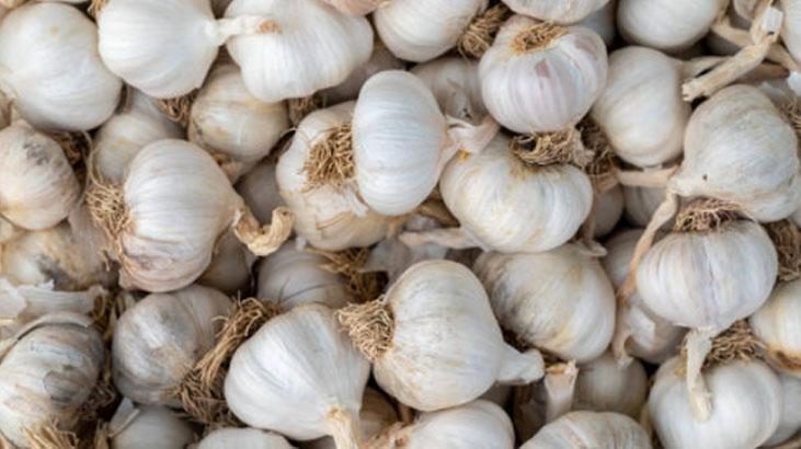Kuru sarımsağın yeri balkon değil! Rendeleyip dondurun, tazecik kalacak