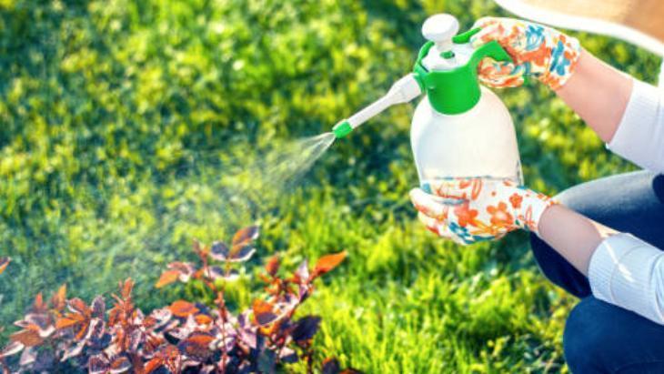 Lavabo açıcı almaya gerek yok! Tıkanan giderin çaresi böceksavardaymış