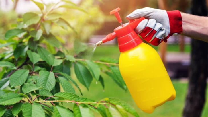 Lavabo açıcı almaya gerek yok! Tıkanan giderin çaresi böceksavardaymış