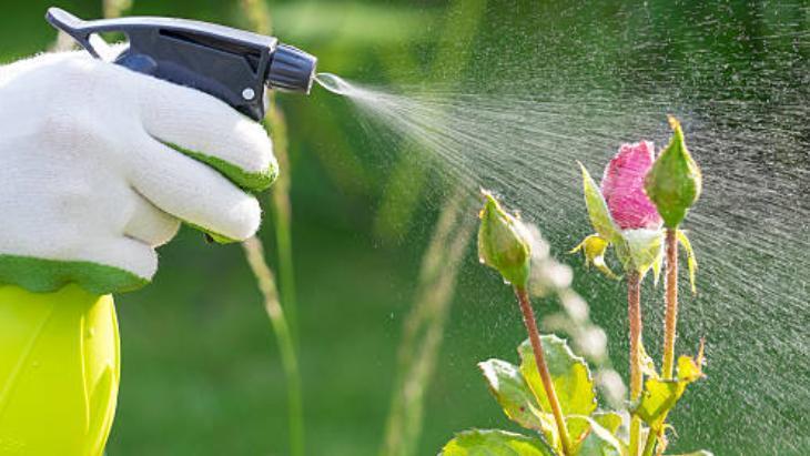 Lavabo açıcı almaya gerek yok! Tıkanan giderin çaresi böceksavardaymış