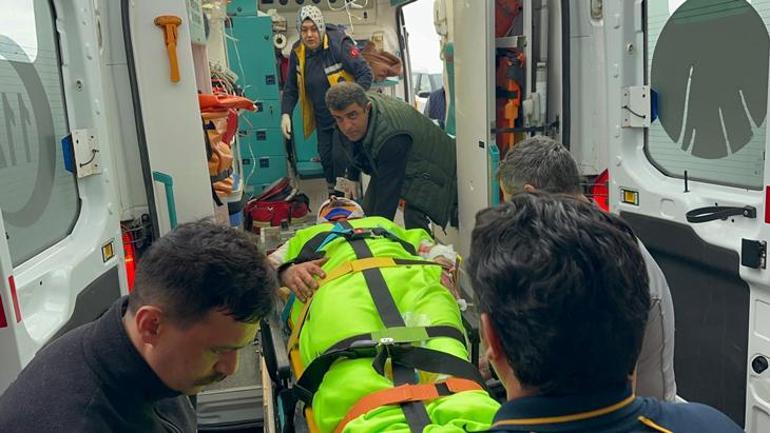 Mantar toplarken dehşeti yaşadı! Ayı saldırısına uğrayan köy imamı yaralandı