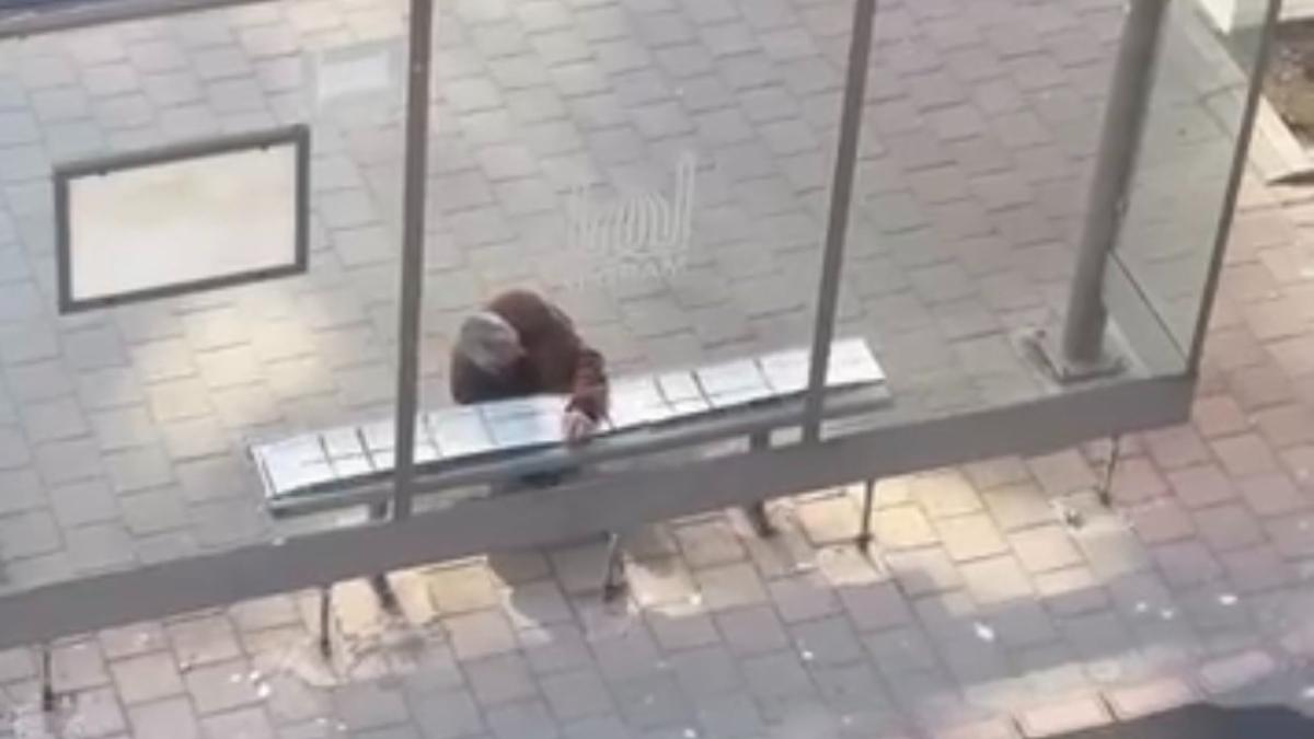 Mardinli Vatandaşın Durağı Sıcacık Yapma Çabası: Bankalar Halıyla Kaplandı