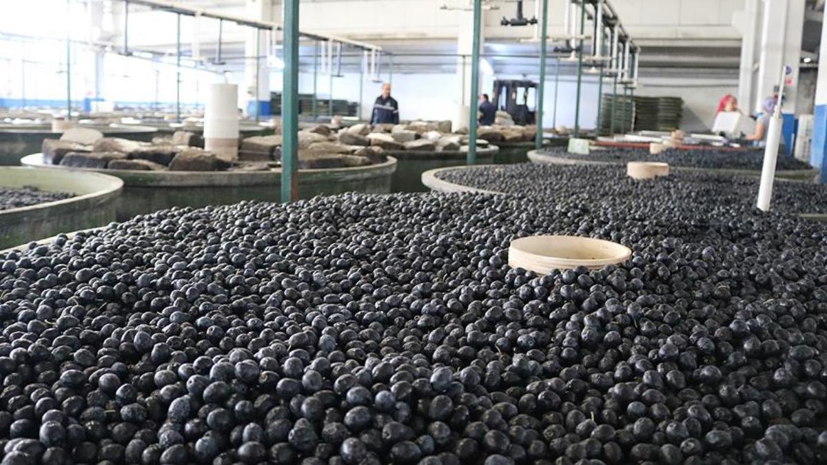 Marmarabirlik’ten Şaşırtan Fiyat Açıklaması: 41, 53 ve 55 Lira!