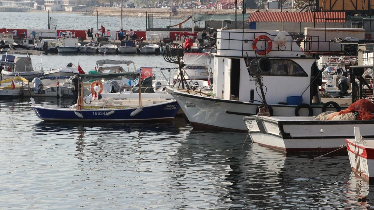 Marmara’da balık bolluğu: Balıkçılar Tekirdağ’a akın etti