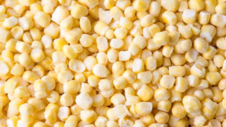 Mısırı çatalla sıyır, haşla, dondurucuya at: 12 ay tazecik kalıyor