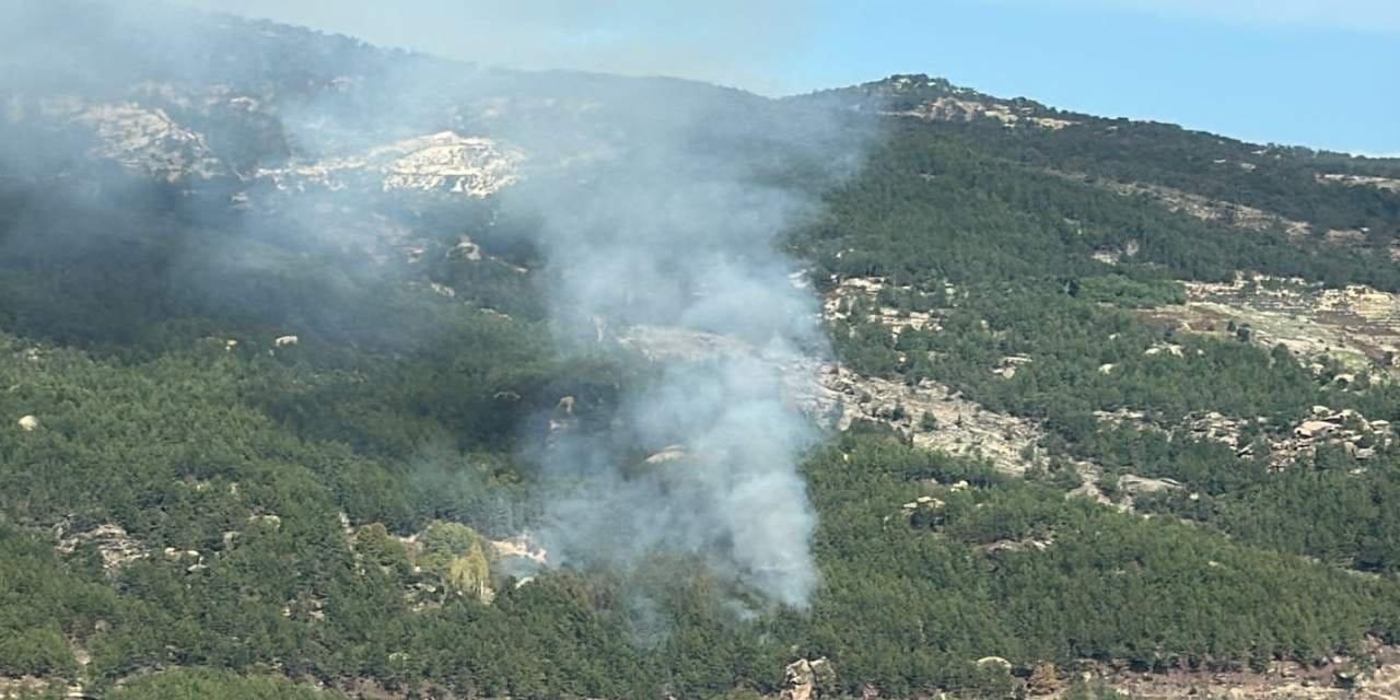 Muğla Orman Yangınında Şaşırtan Gelişmeler: Doğa ile Mücadelede Yeni Bir Dönem