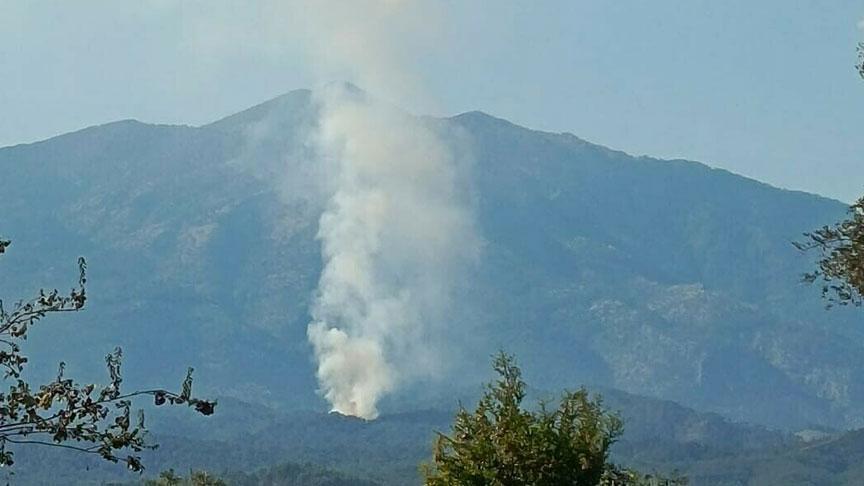Muğla’da orman yangını! Ekipler müdahale ediyor