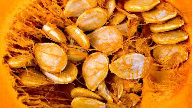 Mutfakta sebze doğada meyve! A vitamini deposu, kavunla aynı aileden 1 Mutfakta sebze doğada meyve! A vitamini deposu, kavunla aynı aileden