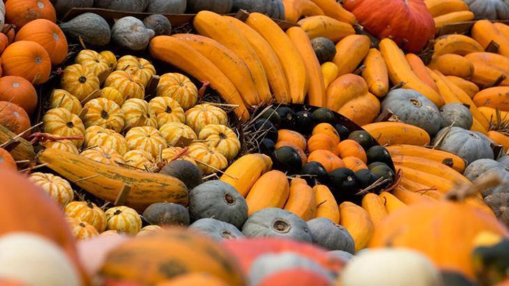 Mutfakta sebze doğada meyve! A vitamini deposu, kavunla aynı aileden 3 Mutfakta sebze doğada meyve! A vitamini deposu, kavunla aynı aileden