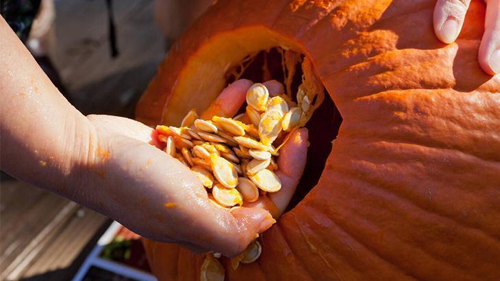 Mutfakta sebze doğada meyve! A vitamini deposu, kavunla aynı aileden 4 Mutfakta sebze doğada meyve! A vitamini deposu, kavunla aynı aileden