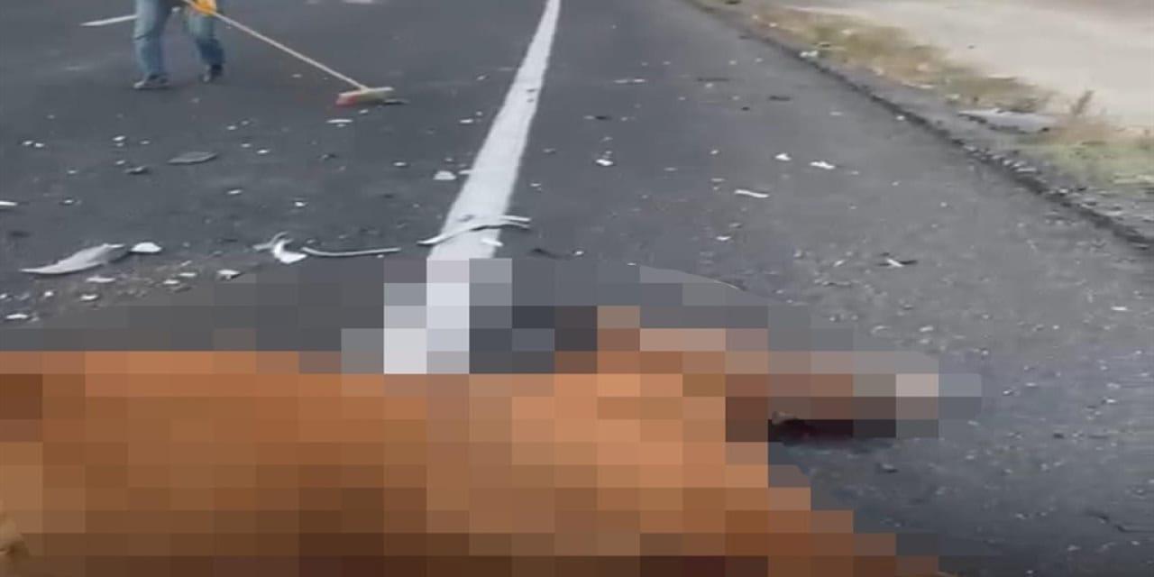 Nevşehir’de İki Ata Canında Kıymet Biçen Sürücü Kaçtı: Hayvanların Feryadı!