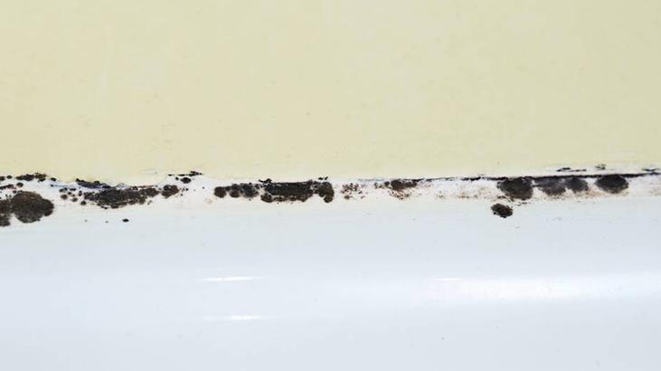 Öbek öbek küf oluşuyor! Evin en temiz yeri sanılıyor ama gerçek başka