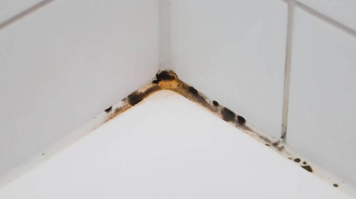 Öbek öbek küf oluşuyor! Evin en temiz yeri sanılıyor ama gerçek başka