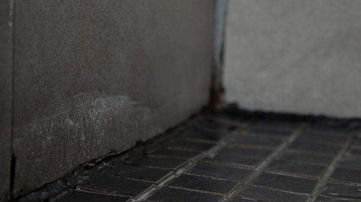 Öbek öbek küf oluşuyor! Evin en temiz yeri sanılıyor ama gerçek başka