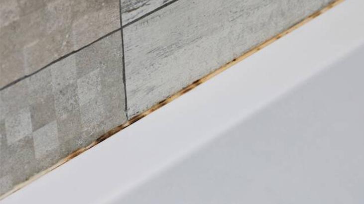 Öbek öbek küf oluşuyor! Evin en temiz yeri sanılıyor ama gerçek başka