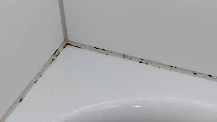 Öbek öbek küf oluşuyor! Evin en temiz yeri sanılıyor ama gerçek başka