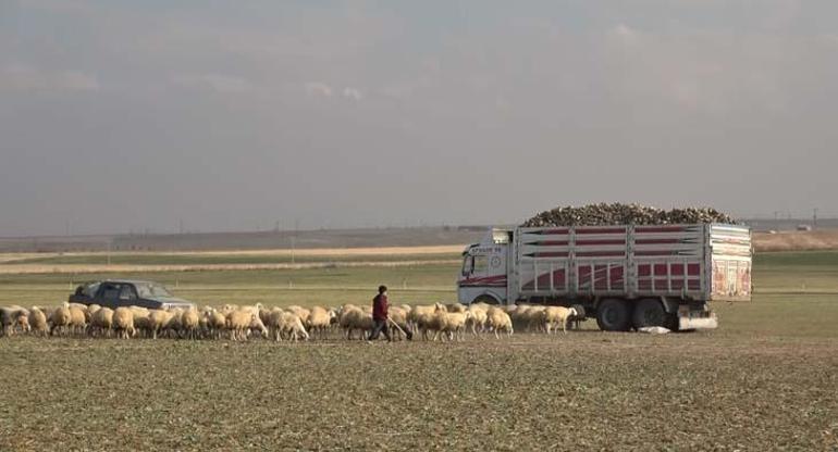 Obruk kabusu Konya'dan sonra bir kenti daha yutmaya başladı: Daha fazla yaşayacağız 4 Obruk kabusu Konya'dan sonra bir kenti daha yutmaya başladı: Daha fazla yaşayacağız