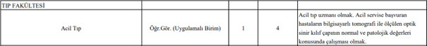 Öğretim Görevlisi Adayı: Doğrudan Tanımlanan Fırsatlar! 1 Öğretim Görevlisi Adayı: Doğrudan Tanımlanan Fırsatlar!