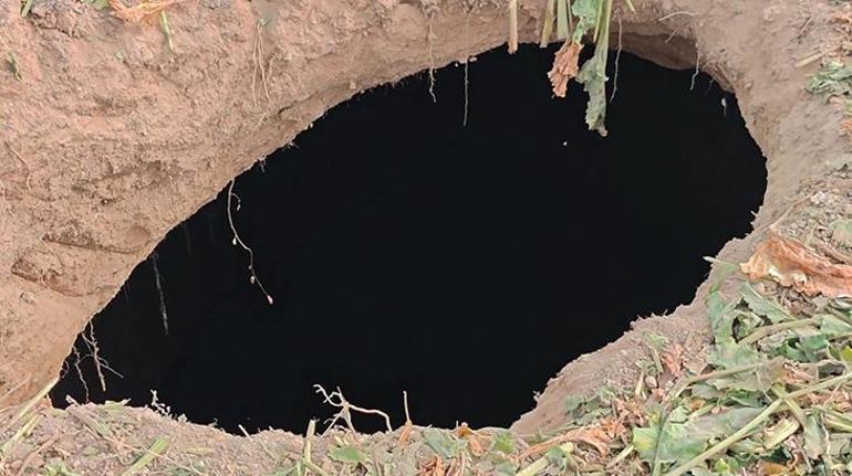 Pancar tarlasında görüldü! Halk korku içinde