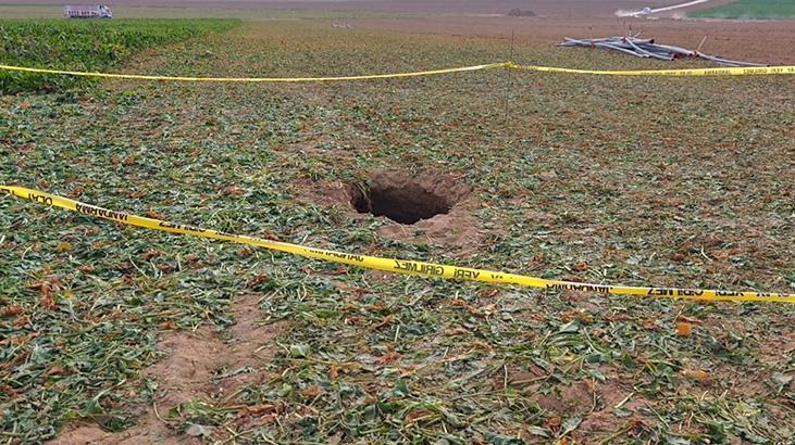 Pancar tarlasında görüldü! Halk korku içinde