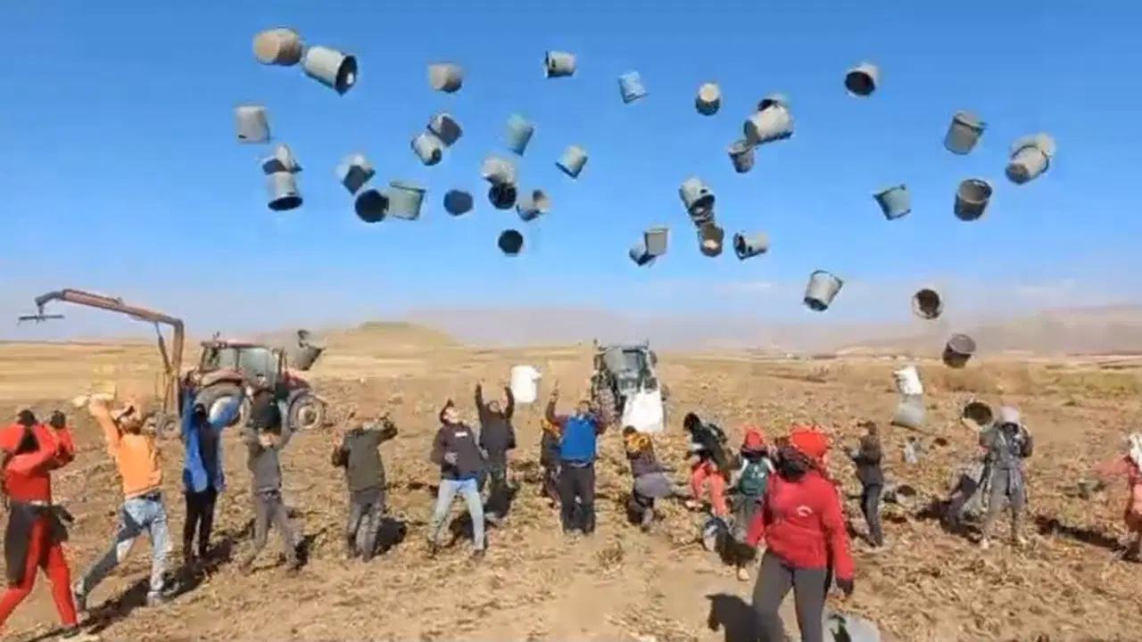 Patnos Ovası’nda hasat tamamlandı: 500 dönüm yerden bin 650 ton eser elde edildi