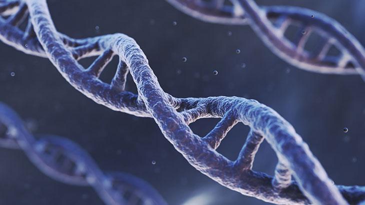 Piyanonun tuşları genetik, piyanist sensin! Uzun yaşamın sırrı epigenetikte