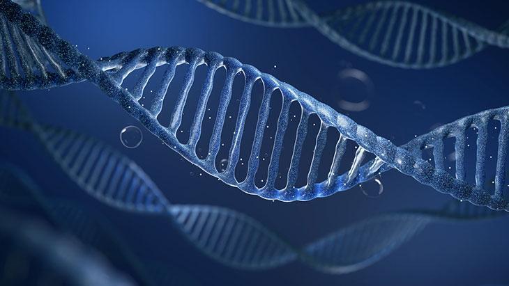 Piyanonun tuşları genetik, piyanist sensin! Uzun yaşamın sırrı epigenetikte