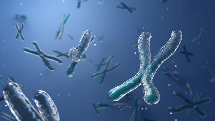 Piyanonun tuşları genetik, piyanist sensin! Uzun yaşamın sırrı epigenetikte