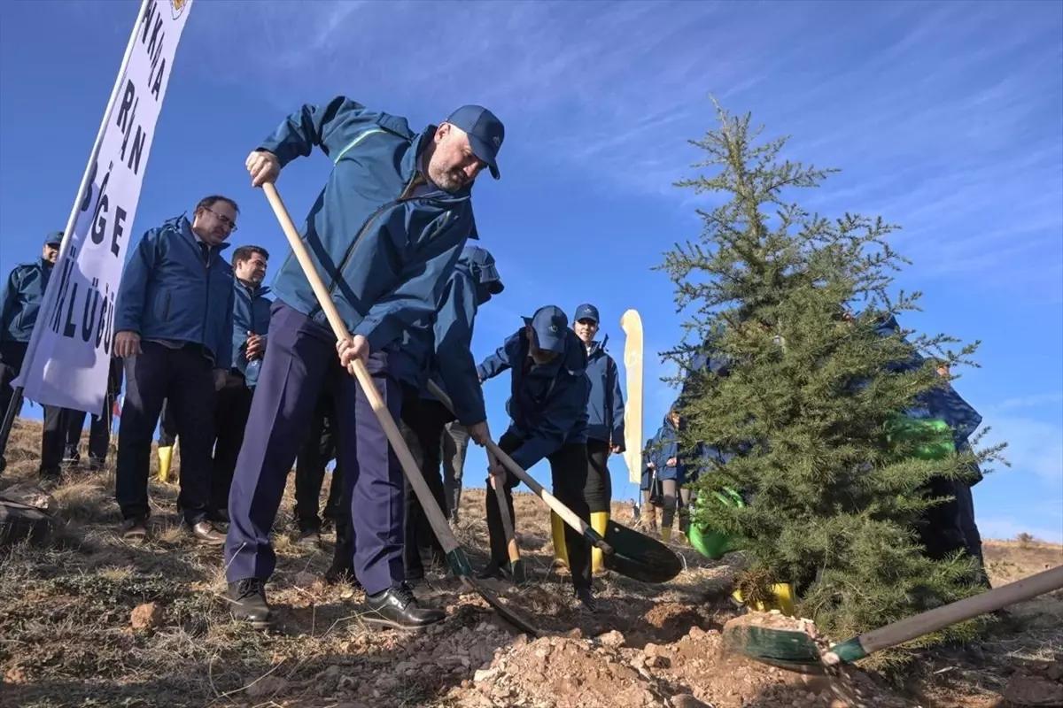 PTT AŞ, 185. Yıl Dönümünde 4 Bin 185 Fidan Dikti