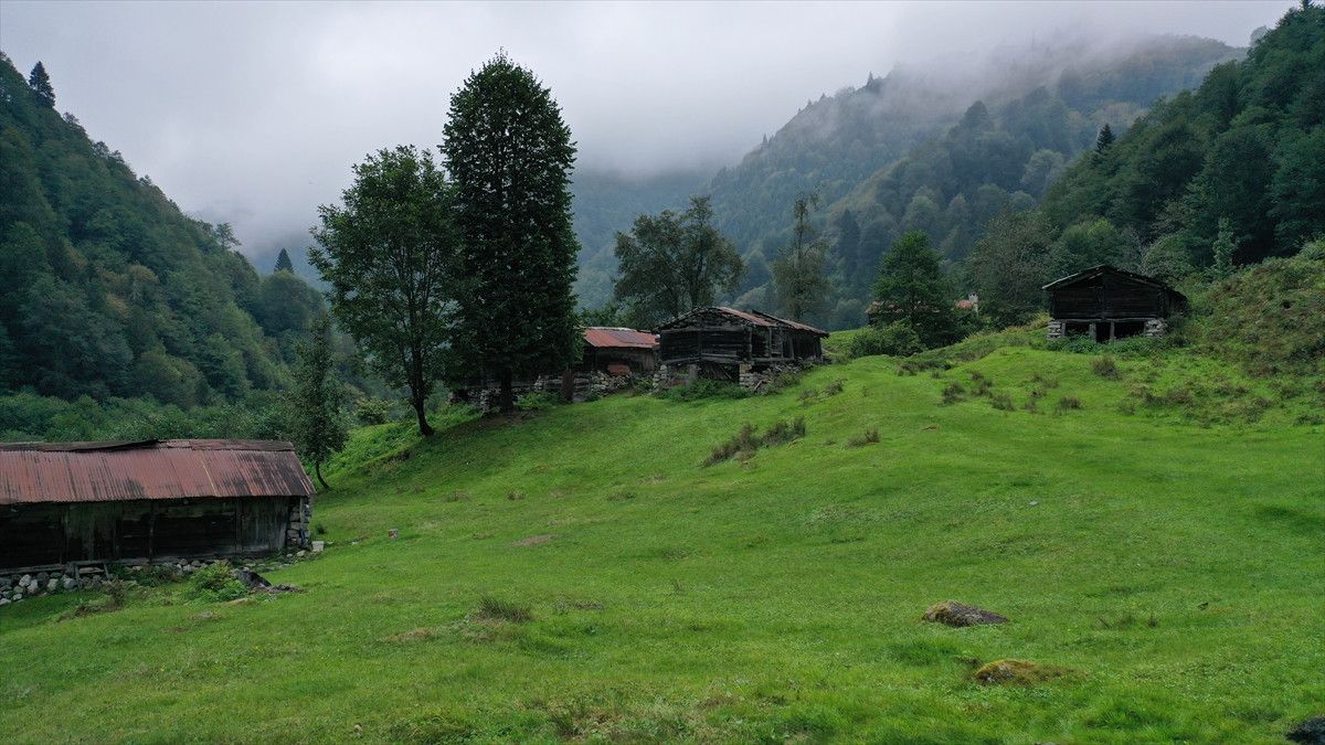 Rize'de Motor Sporları Şampiyonası: Senoz Vadisi'nde Heyecan Dolu Buluşma