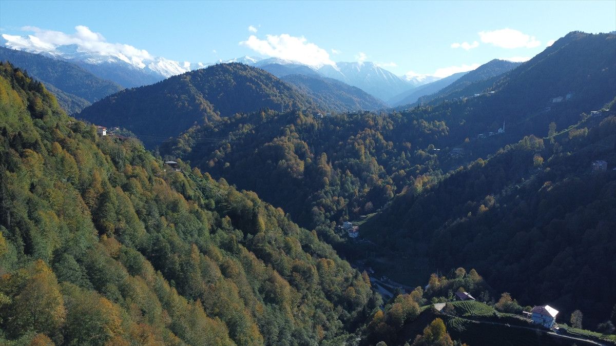 Rize'de Motor Sporları Şampiyonası: Senoz Vadisi'nde Heyecan Dolu Buluşma