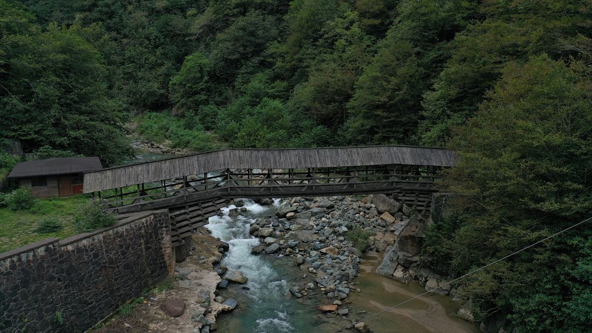 Rize'de Motor Sporları Şampiyonası: Senoz Vadisi'nde Heyecan Dolu Buluşma