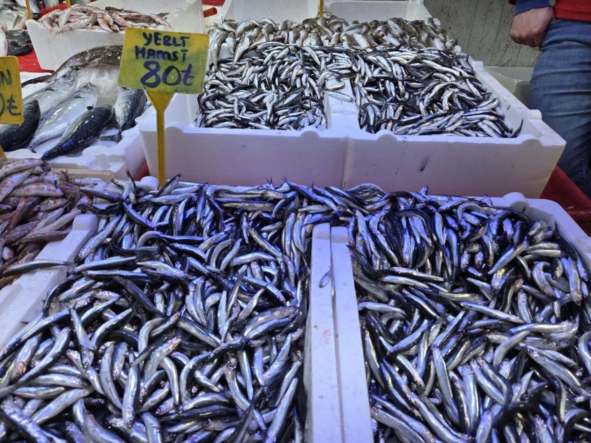 Samsun'da Hamsi Zamanı: Tezgahlardaki Bolluk Sizi Bekliyor!