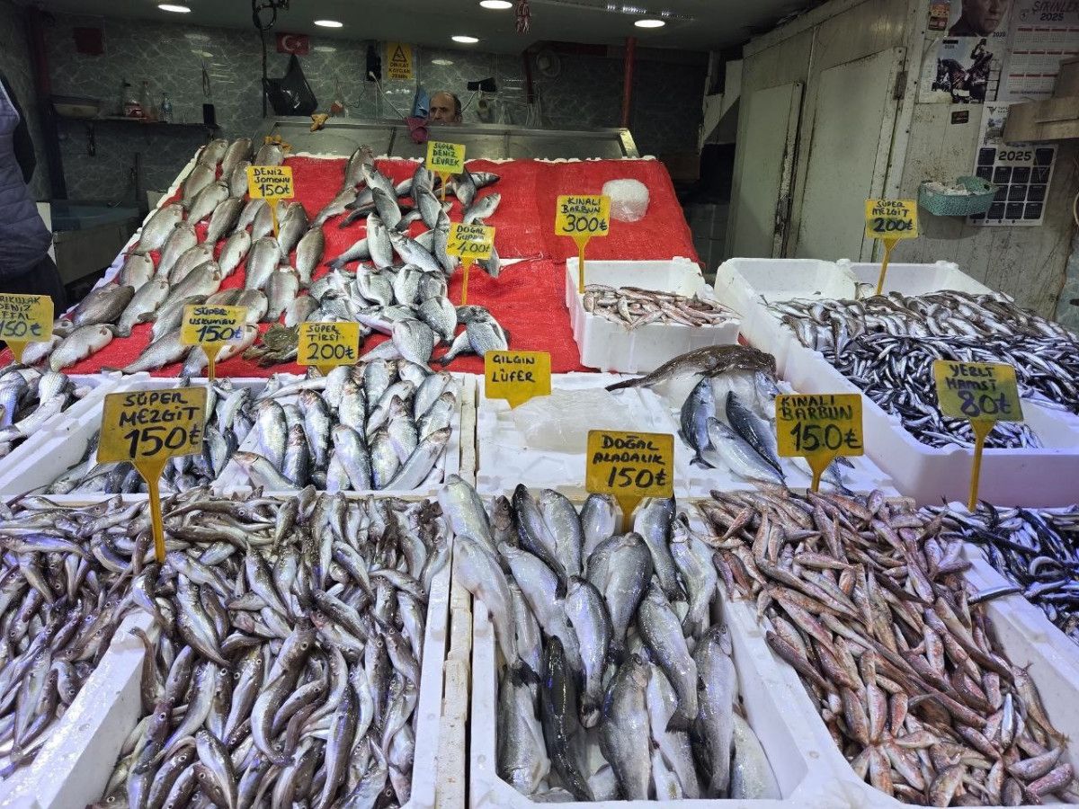 Samsun'da Hamsi Zamanı: Tezgahlardaki Bolluk Sizi Bekliyor!