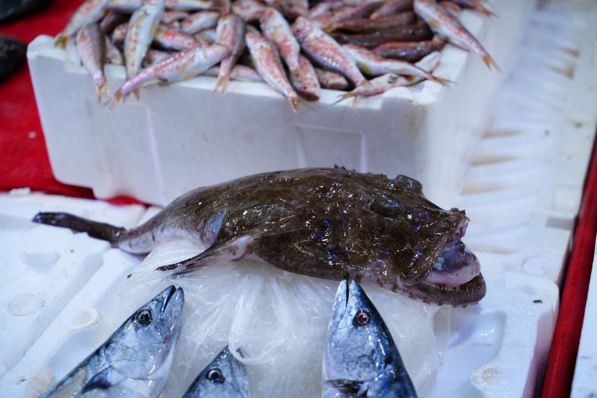 Samsun'da Hamsi Zamanı: Tezgahlardaki Bolluk Sizi Bekliyor!