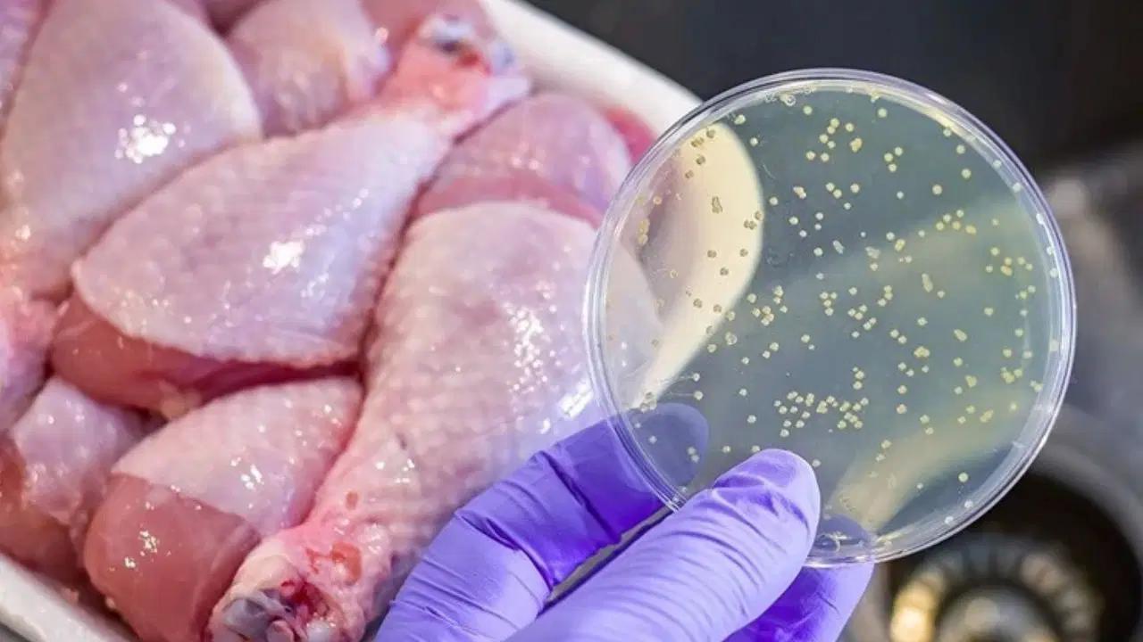 Sandığınız kadar günahsız değil: Yanlış tüketildiğinde tehlike saçan 10 yiyecek