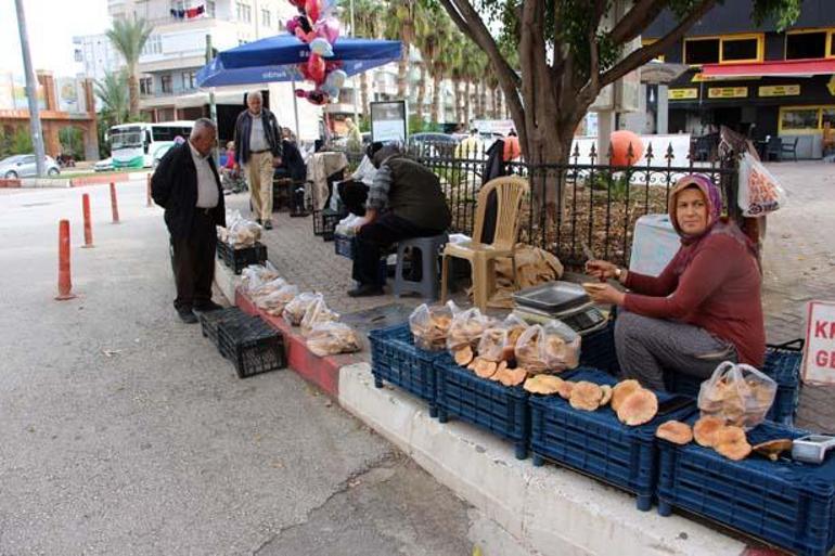 Senede bir kere çıkıyor! Para kaynağı oldu: Kilosu 500 liradan başladı