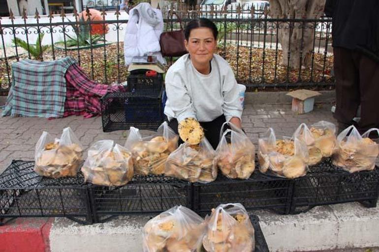 Senede bir kere çıkıyor! Para kaynağı oldu: Kilosu 500 liradan başladı