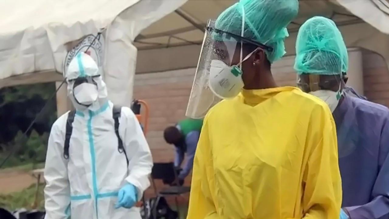 Senegal’de Rift Vadisi Ateşi salgınında ölü sayısı 29’a çıktı