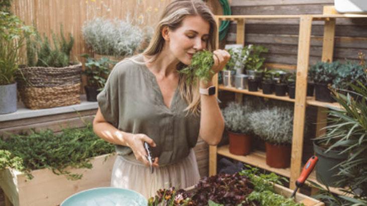 Şipşak ve pratik: Taze otları yapraklarına zarar vermeden ayırın