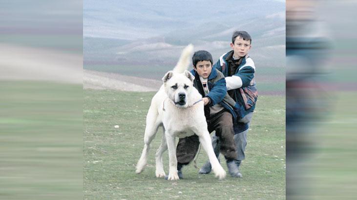 ‘Sivas’, ücretsiz erişime açıldı