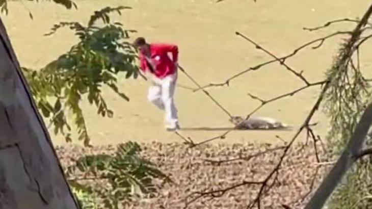 Sokak köpeğini iple sürüklemişti! Belediye personeli ile ilgili karar belli oldu