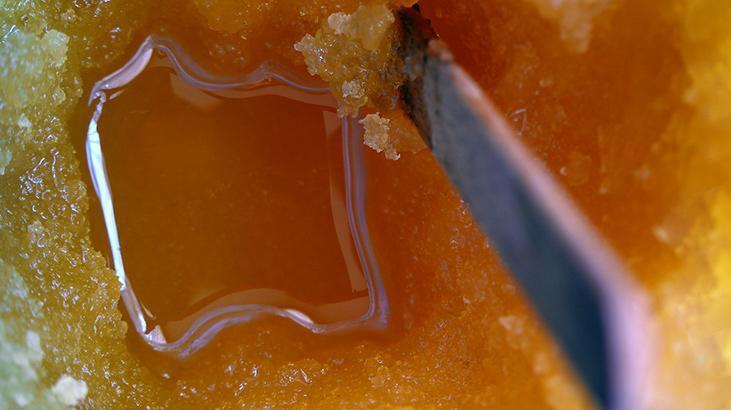 Sol ayakkabıya bal sürüyorlar! Cuma günleri ve dolunayda yapın, işte sebebi