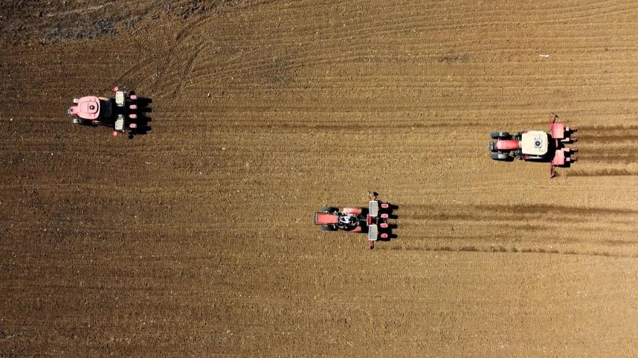 Son dakika: TÜİK açıkladı! Çiftçinin ekim ayı enflasyonu belli oldu