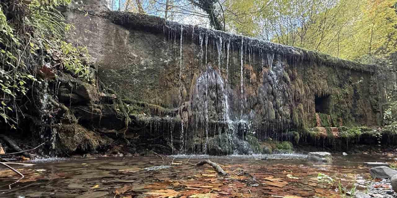 Sonbaharın Büyüsü: Renk Cümbüşü İçindeki Ormanlar Doğa Aşıklarını Ağırlıyor